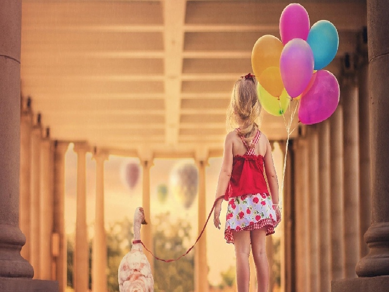 试管卵泡期方案,试管移植后出院